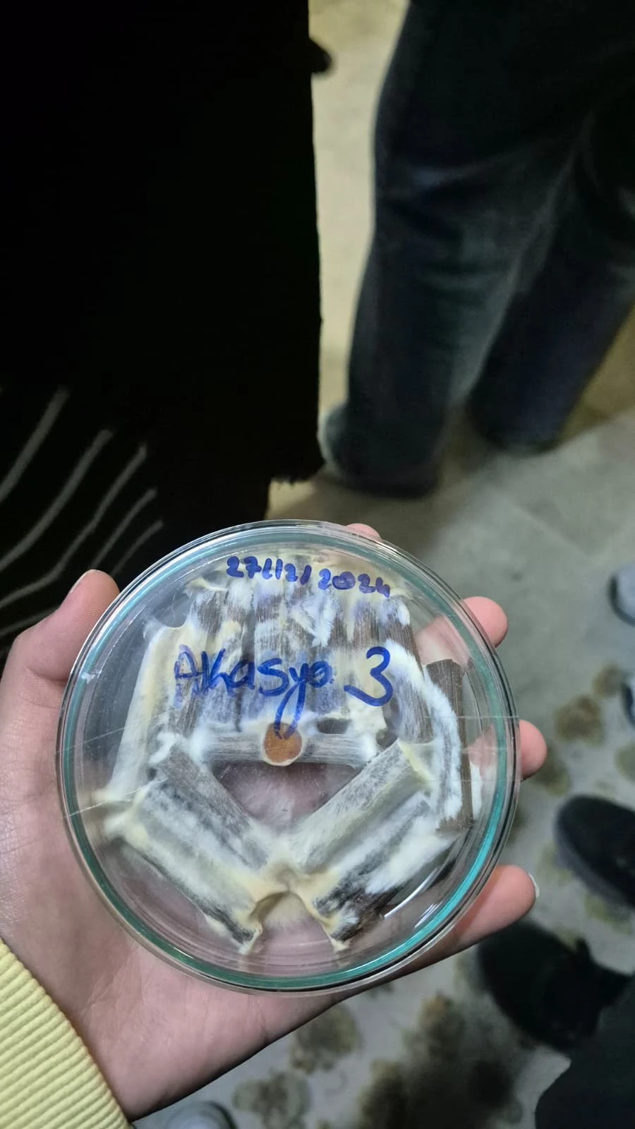 MANTARCILIK UYGULAMA VE ARAŞTIRMA MERKEZİNE TEKNİK GEZİ